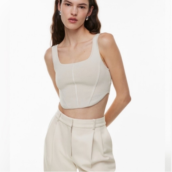 Babaton Tops - Aritzia Babaton Sculpt Knit Bustier Tank Medium